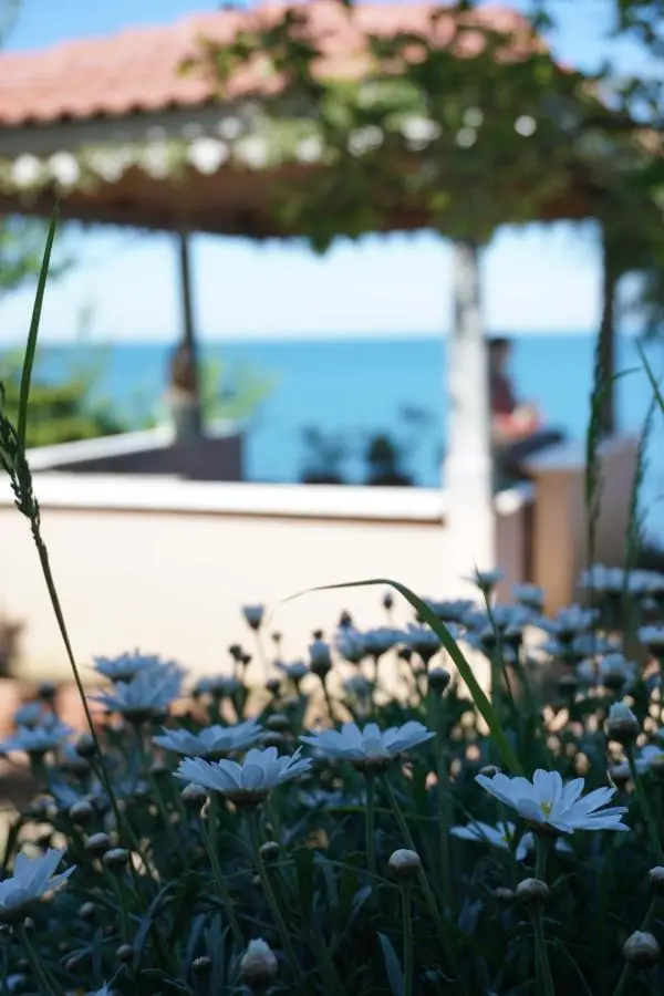 Villa Laila Trabzon