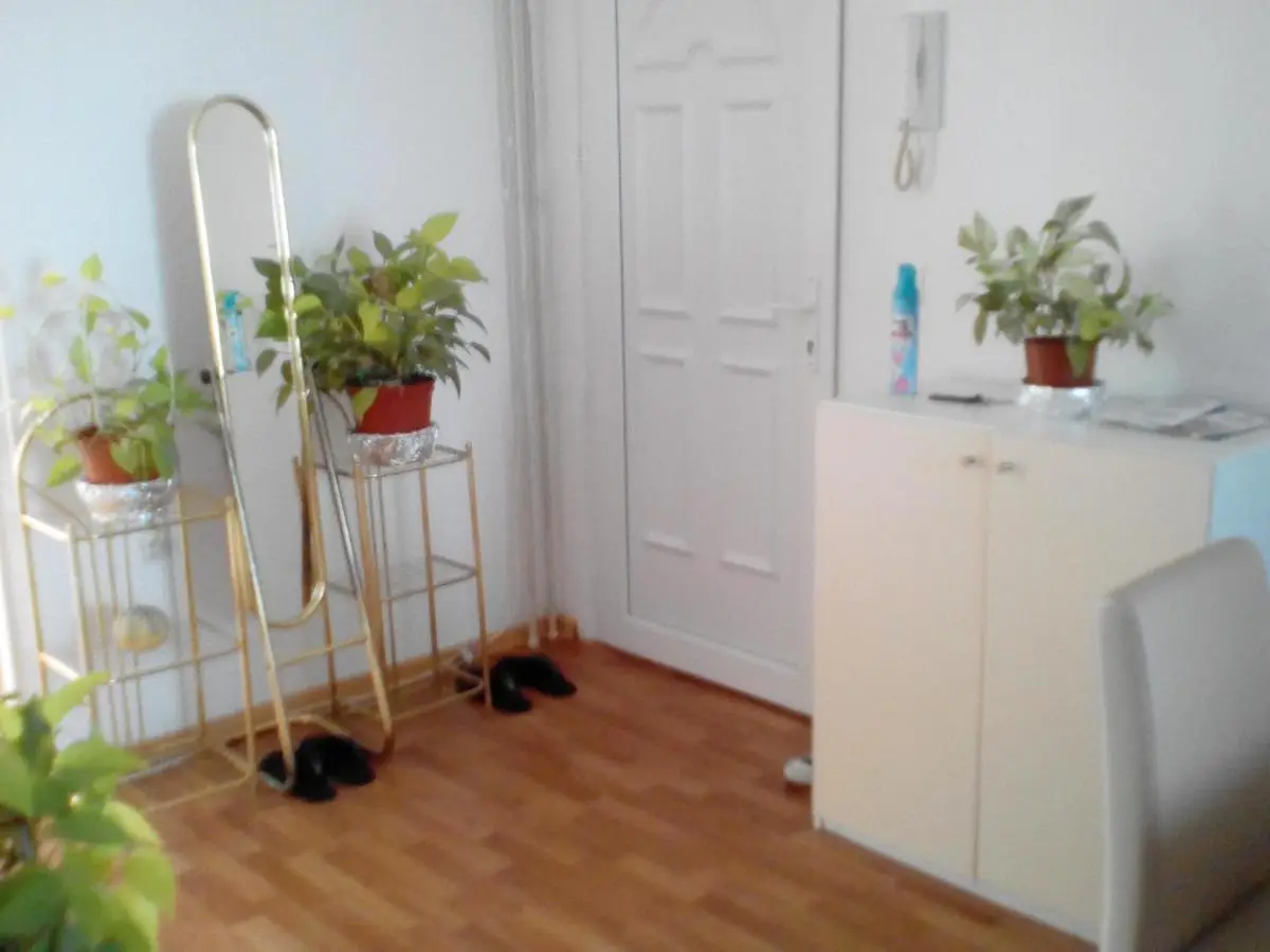 Apartment Alipašino
