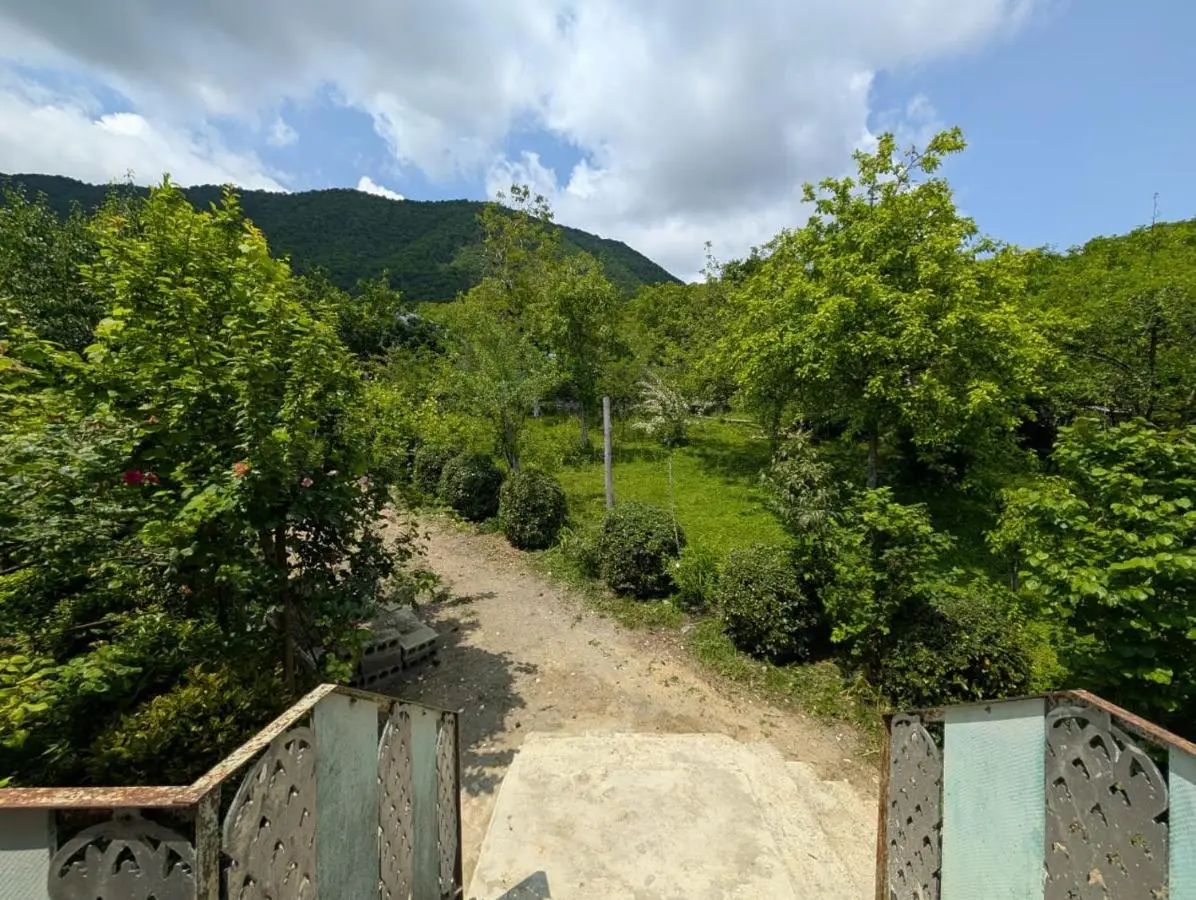 Guest House Roba