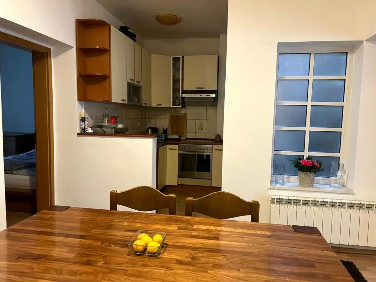 Homy apartment in city center Marijin Dvor