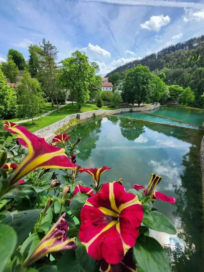 Vikendica Žute dunje Jajce