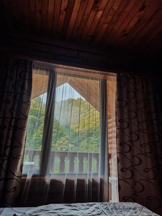 Hotel Riverwood