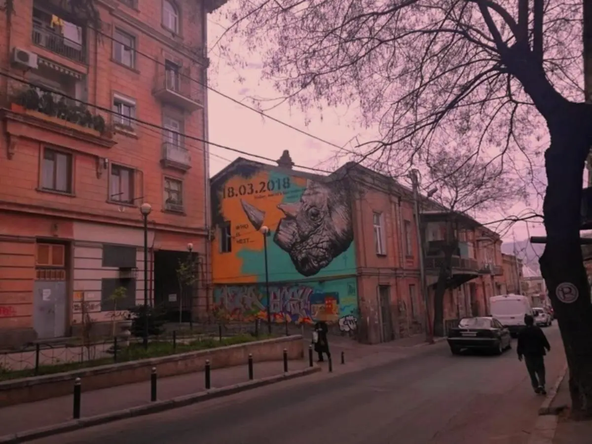 birdhome in Tbilisi (Maria)