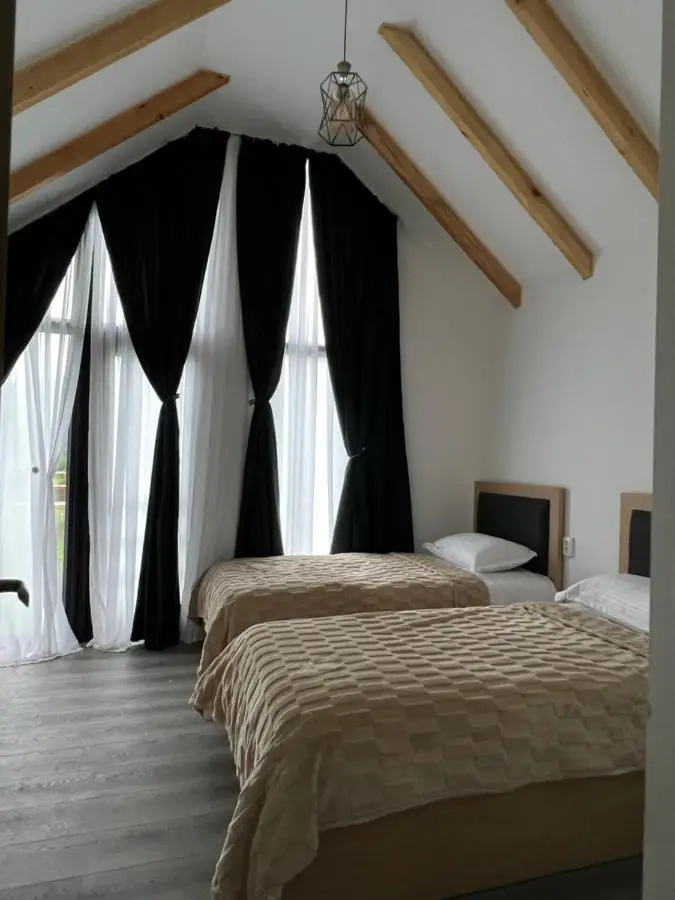 MTA house - Borjomi