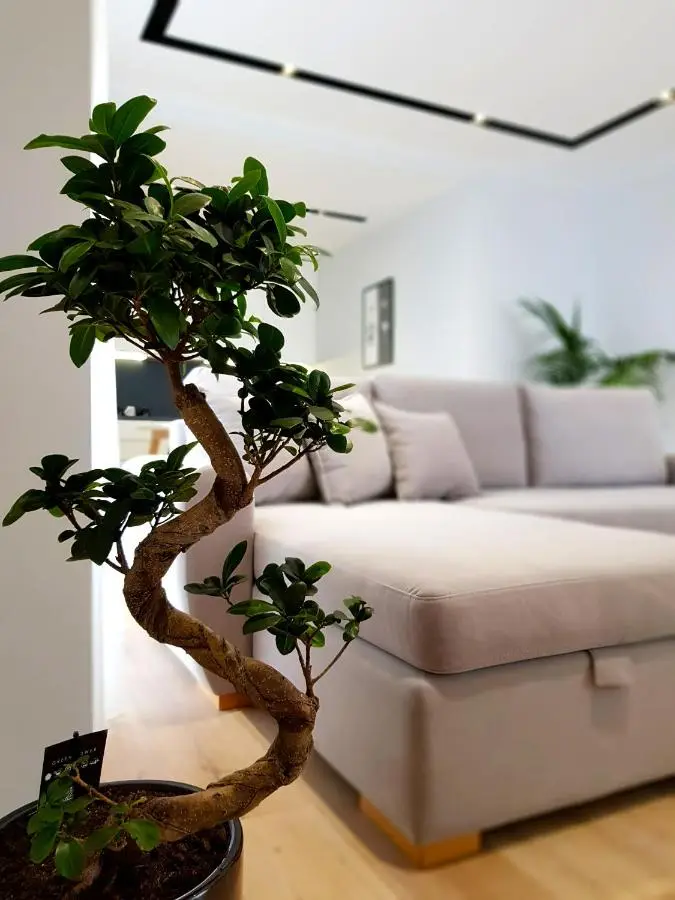 ArtNest Boutique Hotel & Suites
