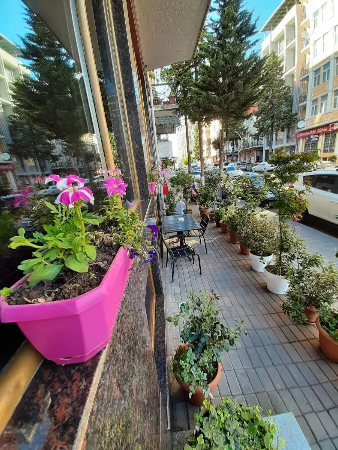 Hotel Elio Inn