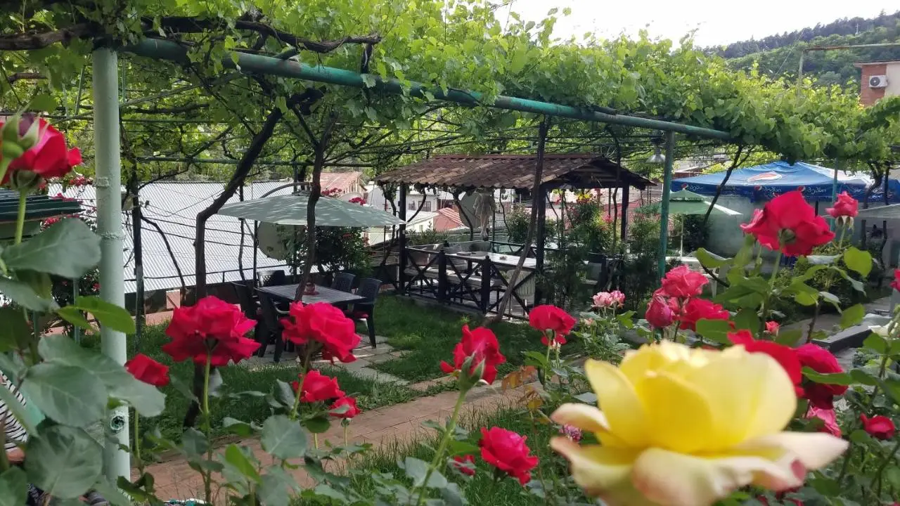Guest House Green Rose