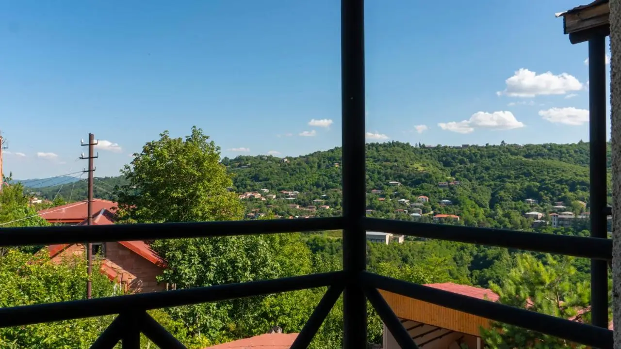 Sighnaghi Hotel Fence Door&Сигнахи Отель Ворота Крепости&სიღნაღი სასტუმრო გალავნის კარი