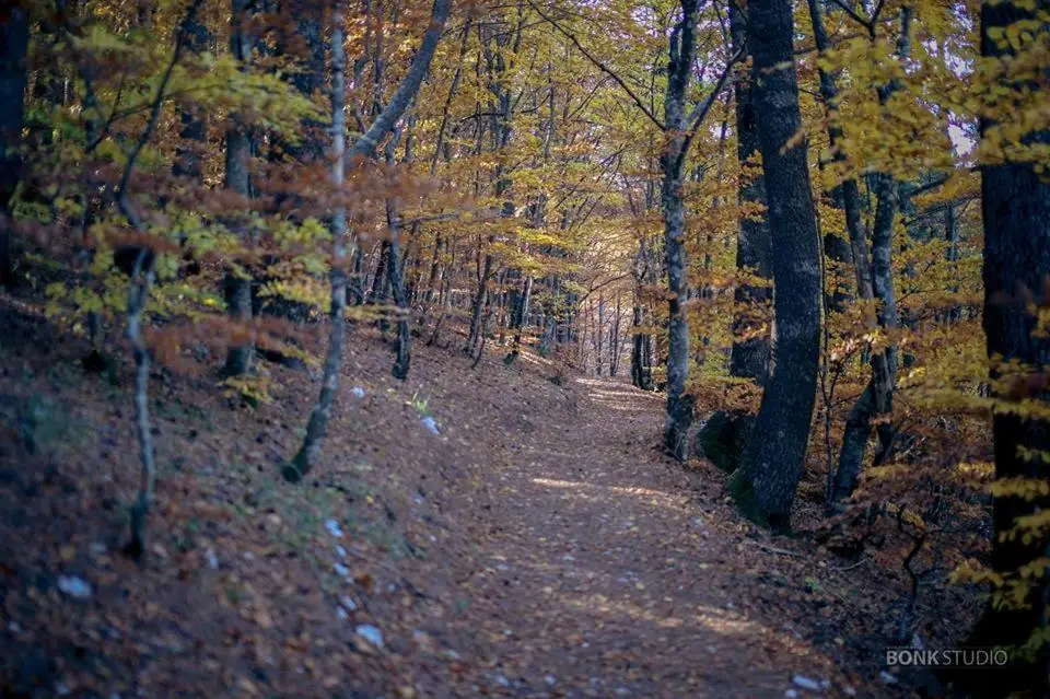 Hotel Snjezna kuca - Nature Park of Bosnia Herzegovina