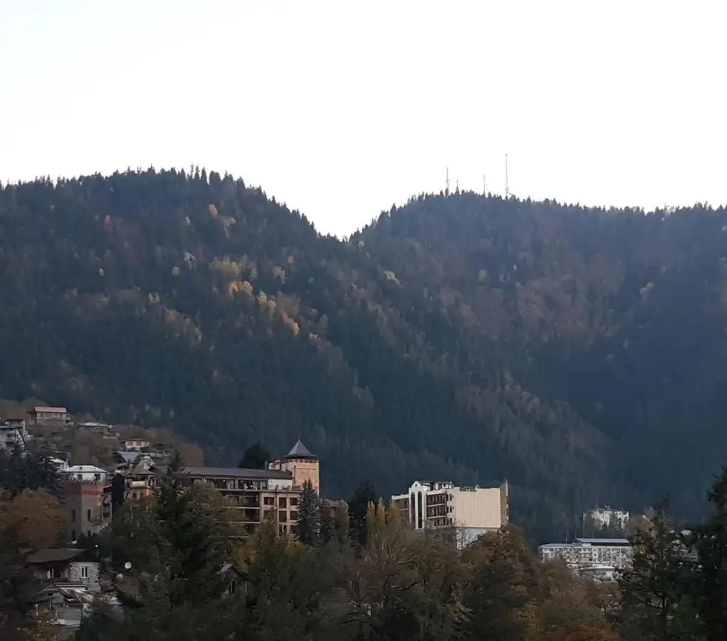 golden borjomi