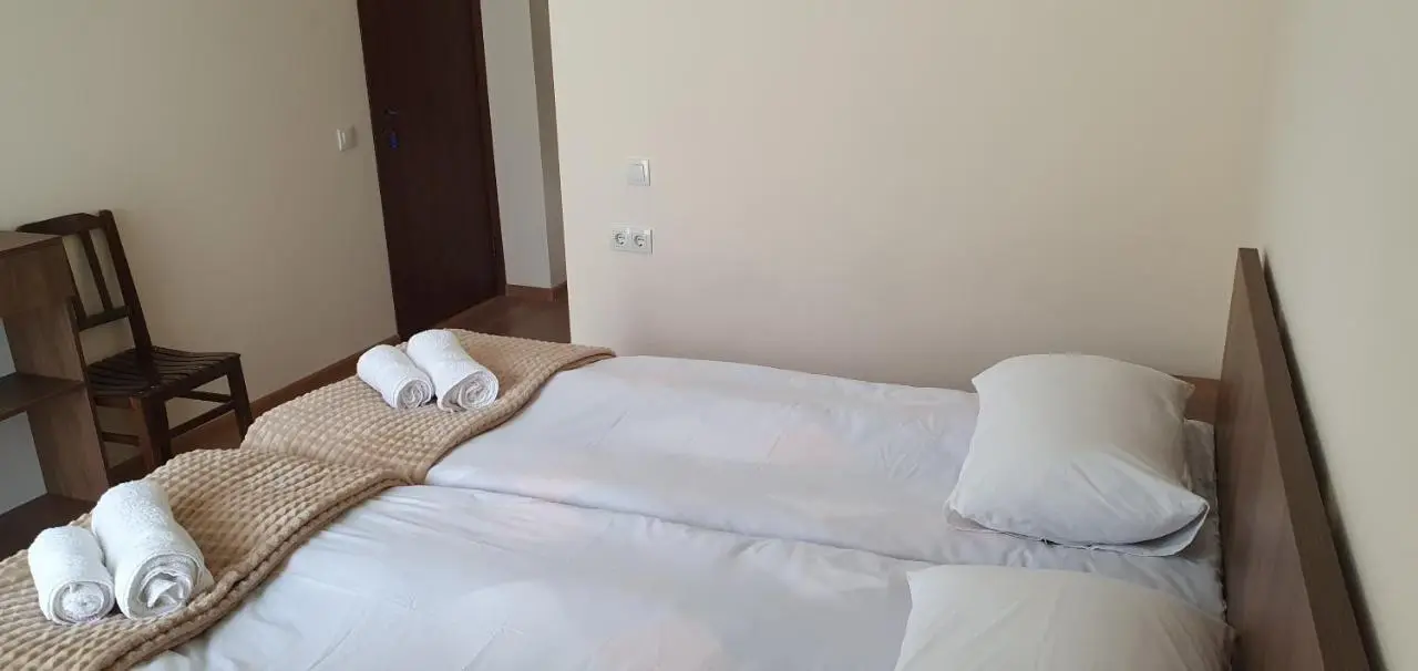 Elnetsa Inn Kazbegi