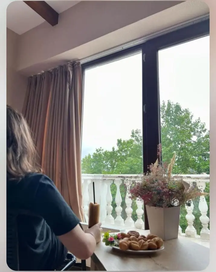 Hotel Traveler