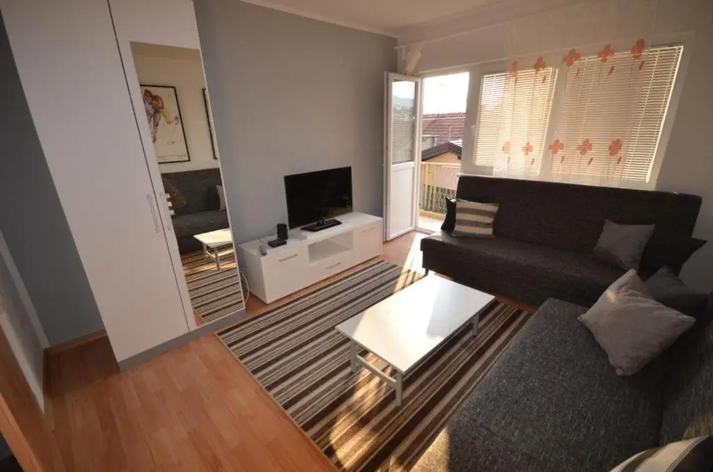 Apartment MG