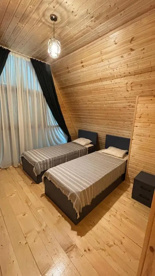 Wood cottage in Borjomi