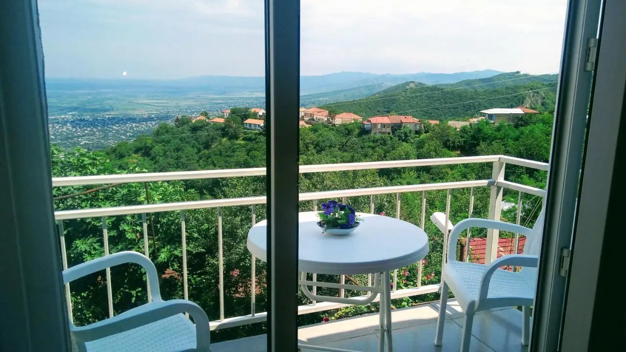Guest House Alazani Valley