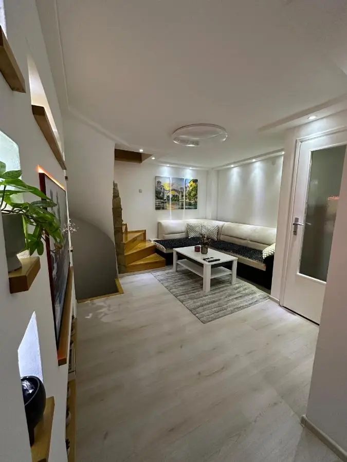 Twins House