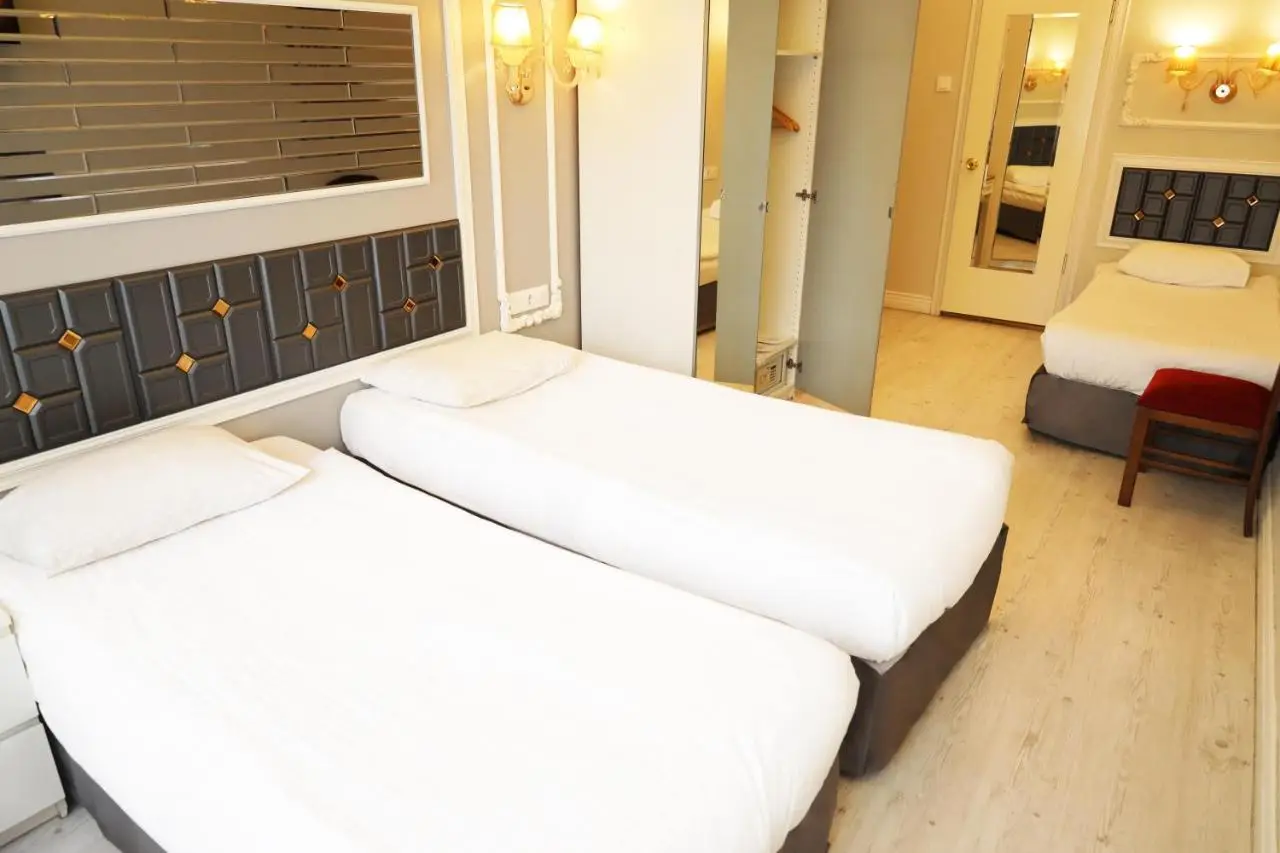 Bakirkoy Tashan Business & Airport Hotel