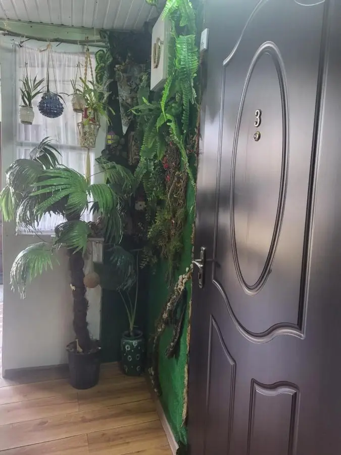 Alma apartament