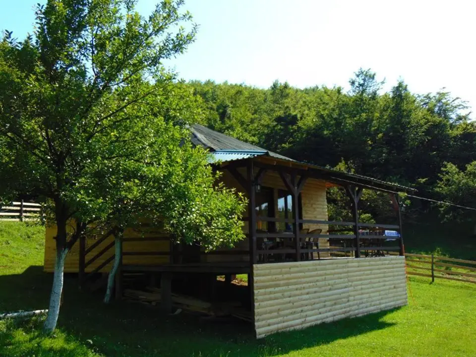 Forest Lodge on the Pyramid