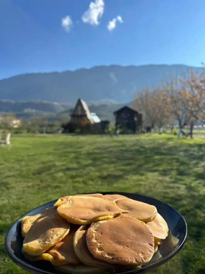 Life on the farm