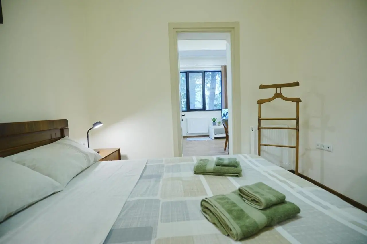 Cozy Apartment Near Holiday Inn