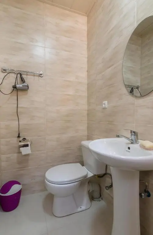 Guest House Check in Borjomi