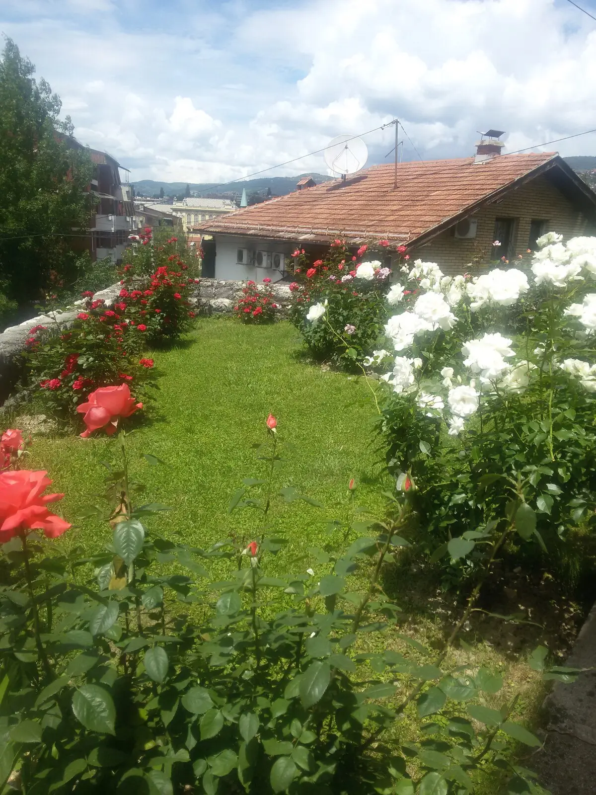 Accommodation in the city center
