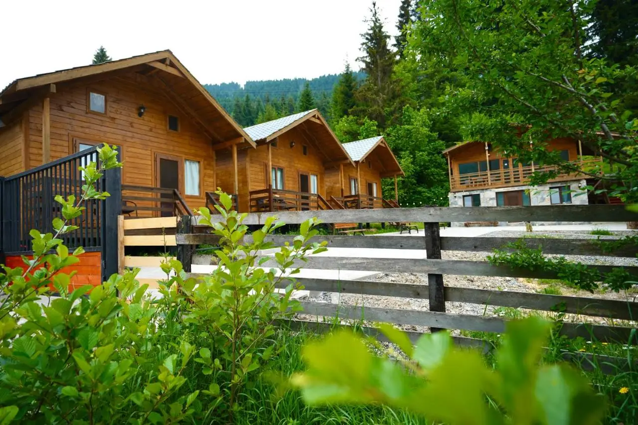 Mountain Cabins