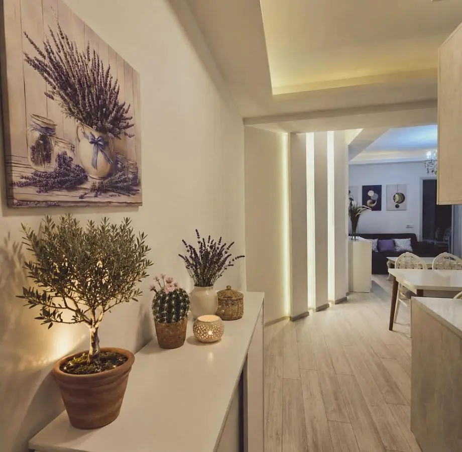 2-bedroom the entire apartment Very central Location 3 minutes walk to central square, Kolkha Fountain
