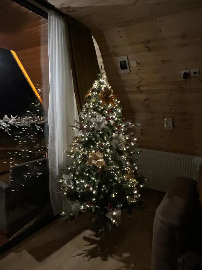 Kazbegi cottage kide- ყაზბეგში კოტეჯი კიდე