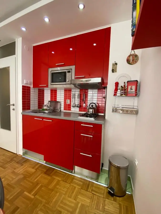 SASE Apartment