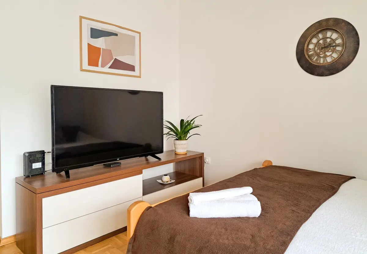 Comfortable and modern apartment