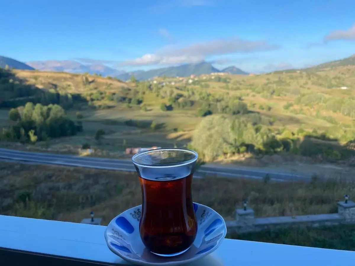 Black Forest Hotel