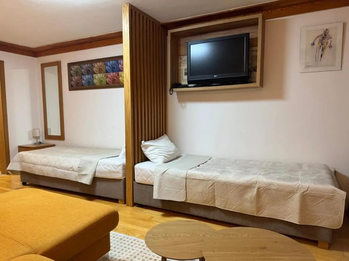 Apartment 122 - Aparthotel Vučko Jahorina - private host