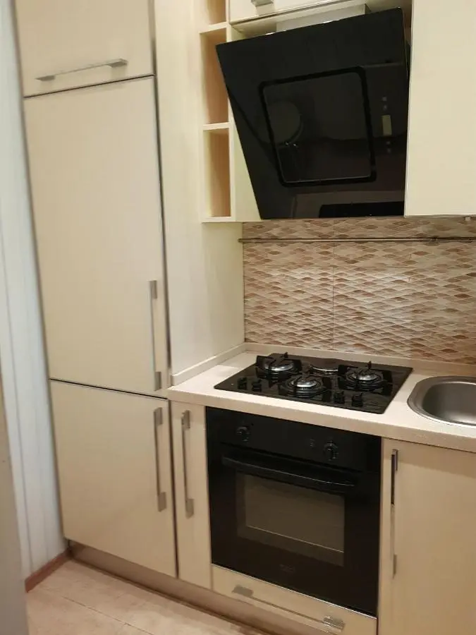 Central Baku Luxury Apartment on Nizami Street