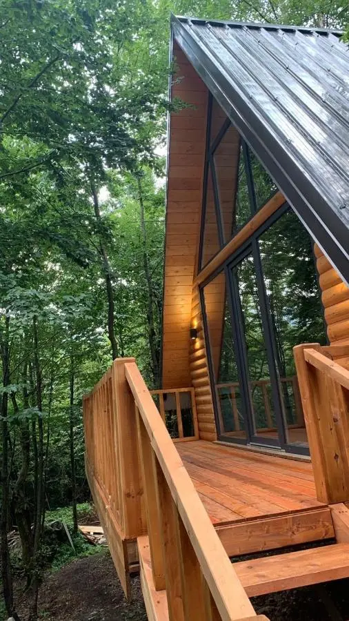 Forest Escape
