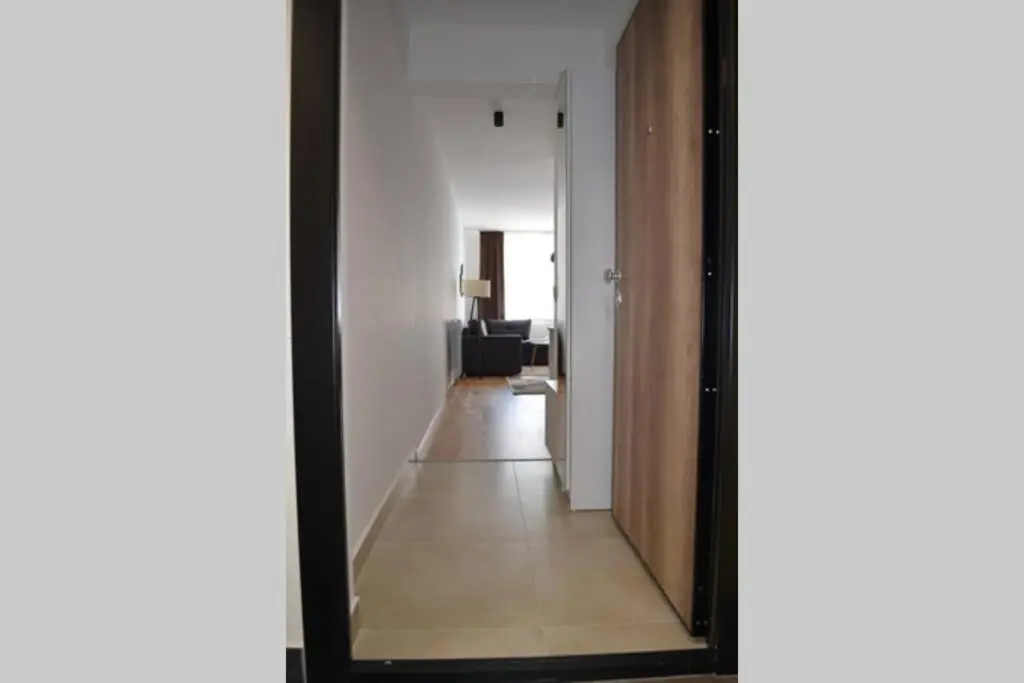 Comfy New Apartment