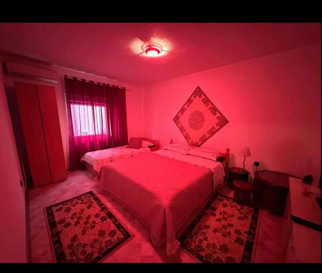 Hostel Backpackers