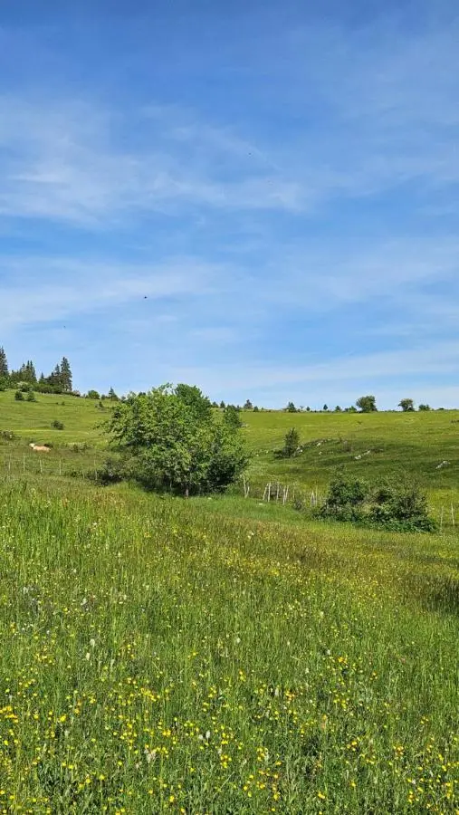 Villa Maglić Vlašić
