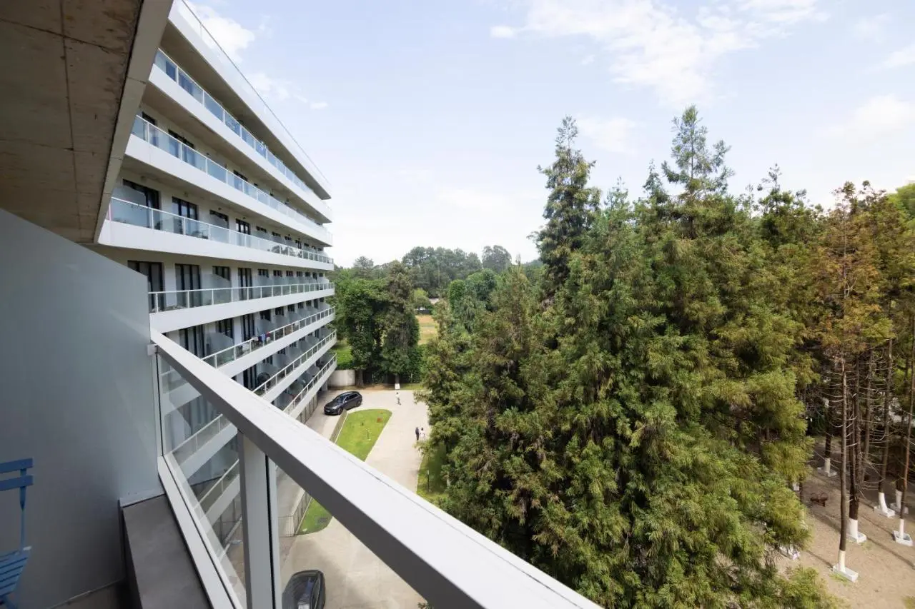 Bamboo Beach Apartments