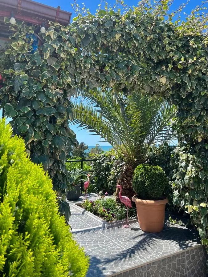 Kemeni Garden
