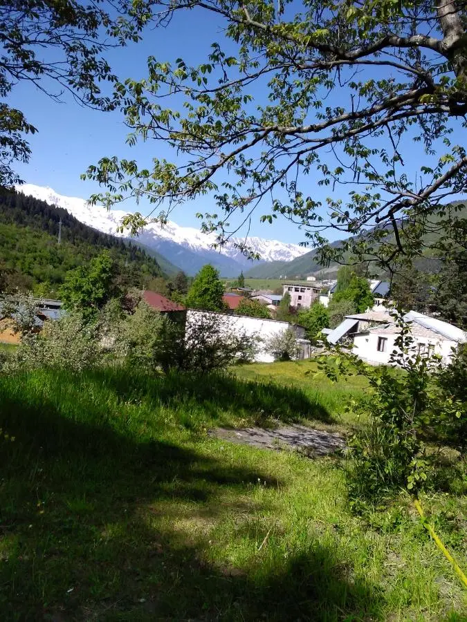 Gogi Jafaridze's Guesthouse