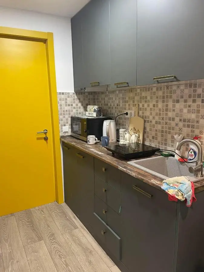 Bakuriani mix appartment 210