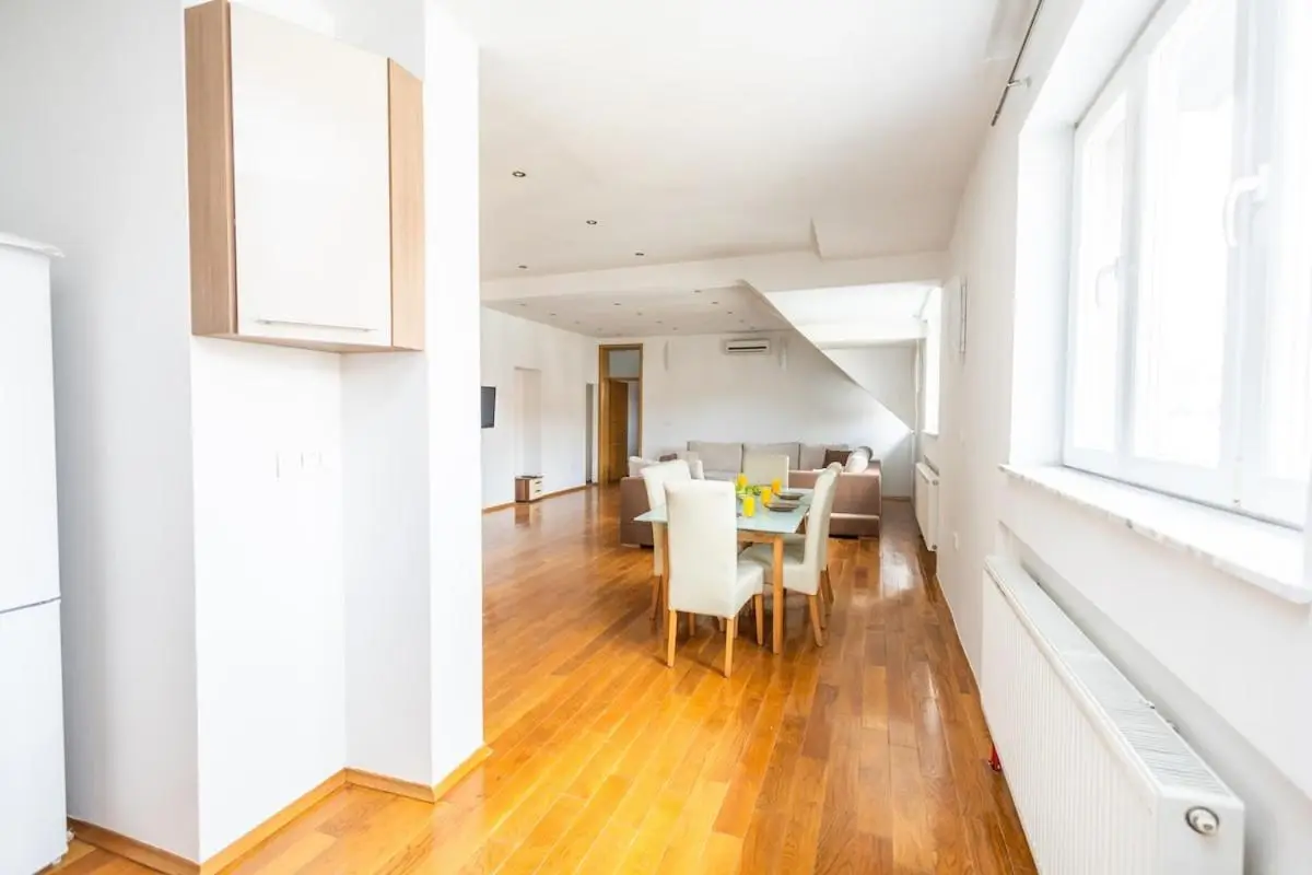Spacious Apartment in Downtown
