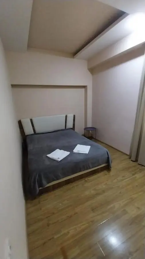 Apartment on Rustaveli