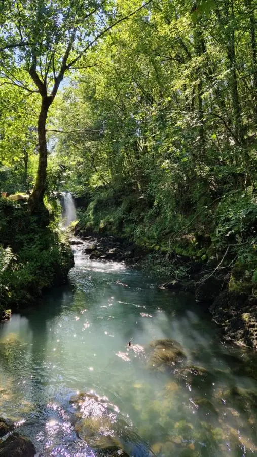 Domacinstvo Ubovic