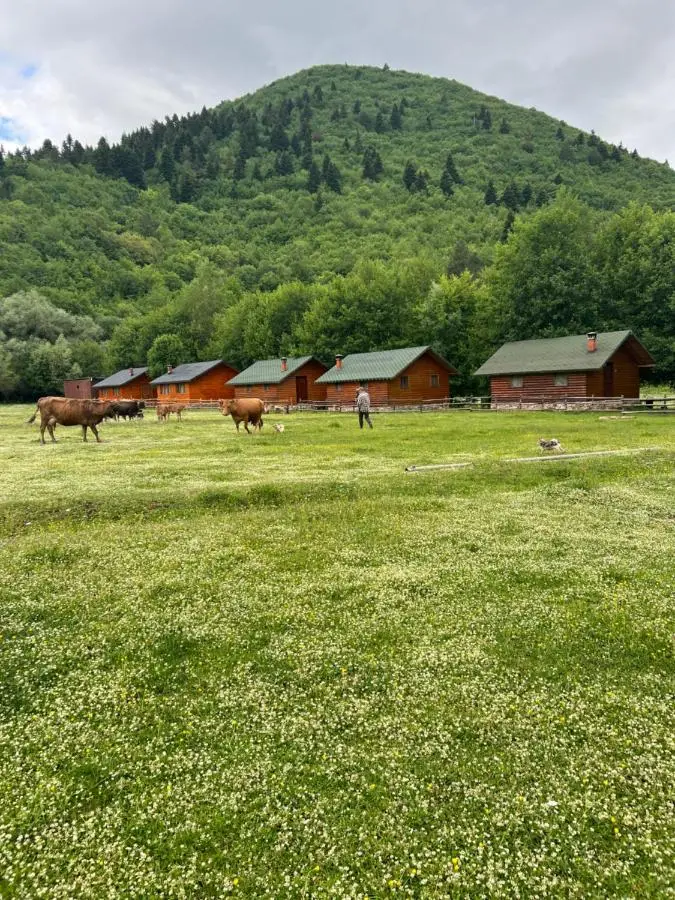 Horse Riding Albania