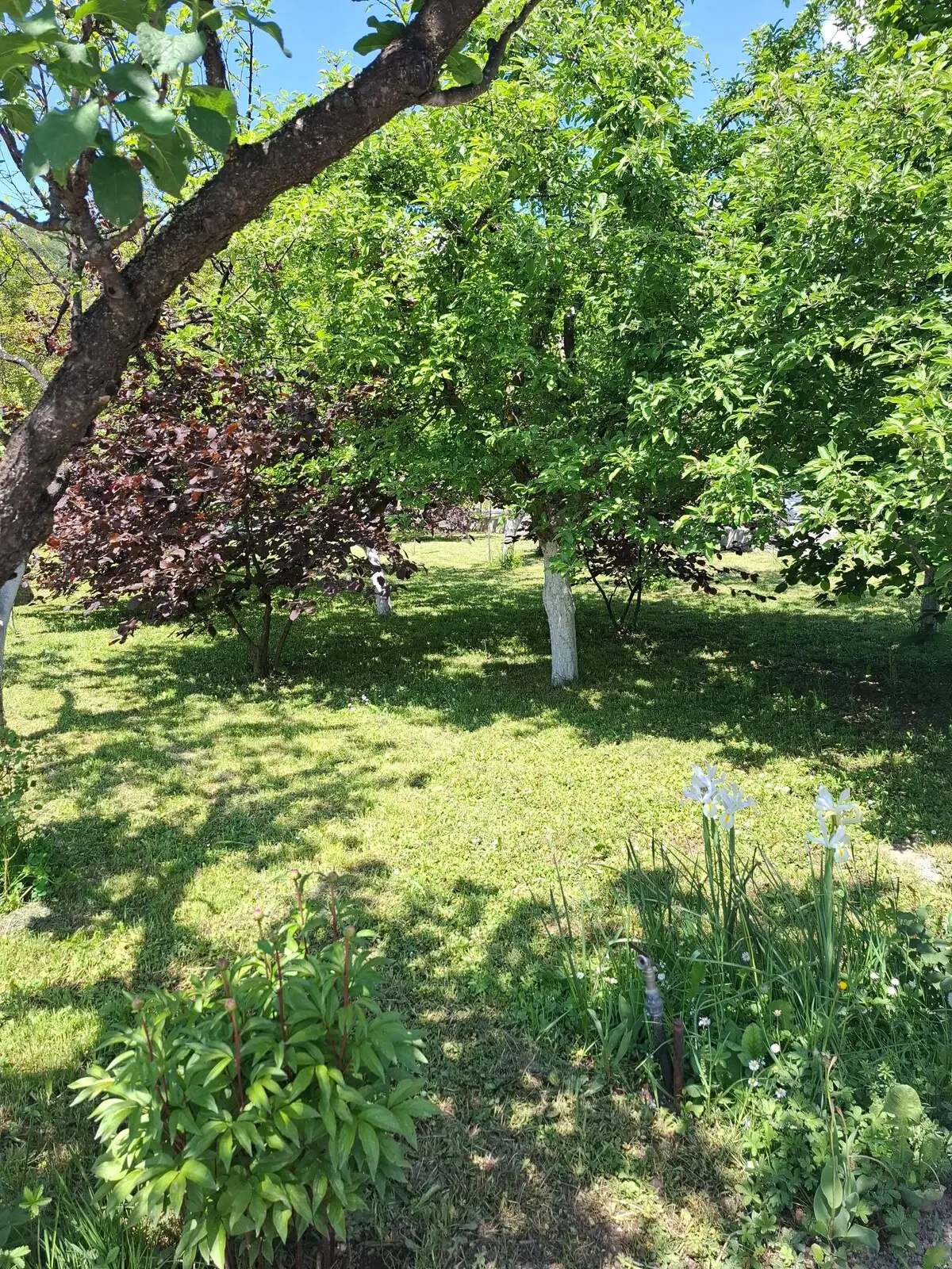 VILLA about min 3 persons - max 6 persons.