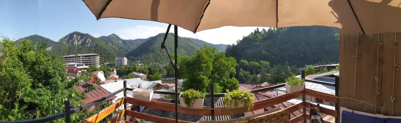 Guest House Shvelidze