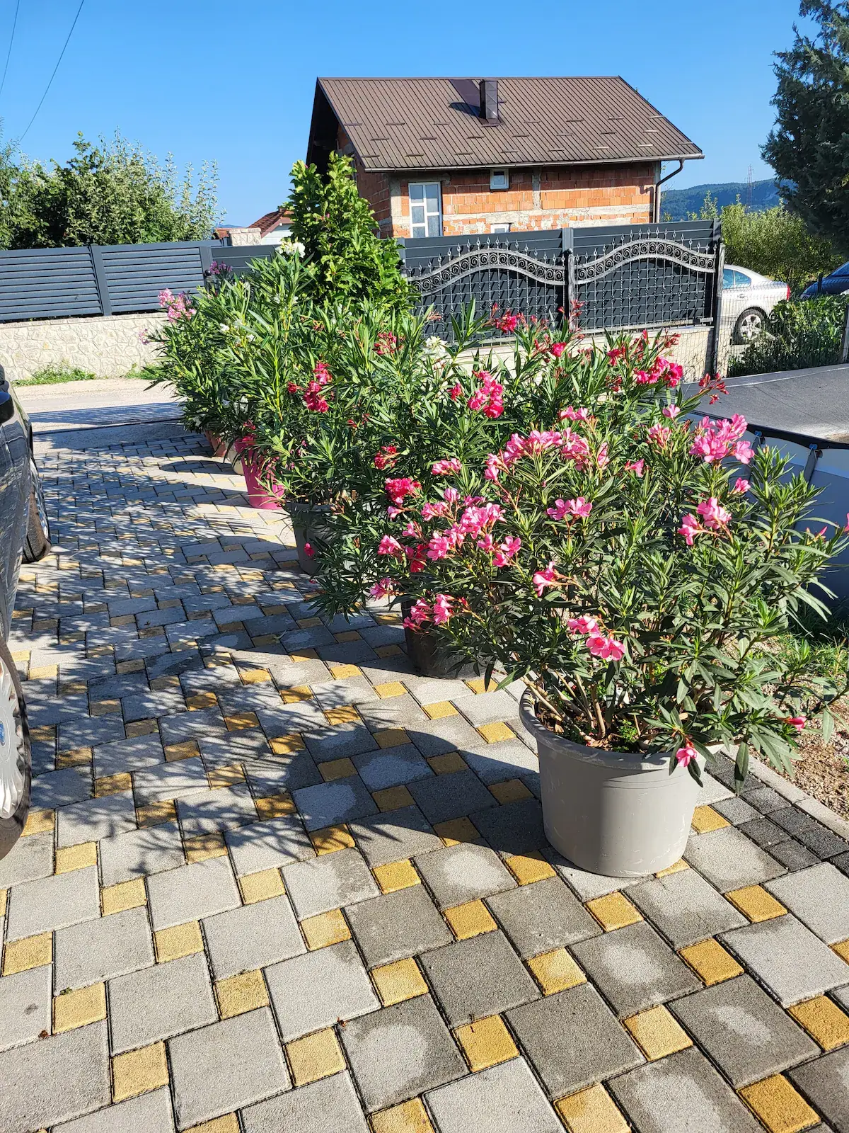 Apartman  Deluxe Holiday